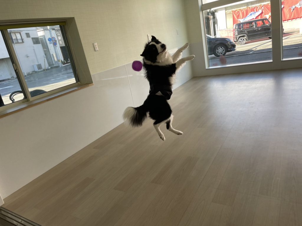 画像に alt 属性が指定されていません。ファイル名: S__94519333_0-1024x768.jpg